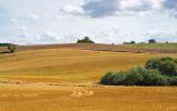 August_Fields_2